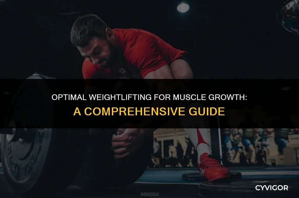 how much weight should i lift to build muscle