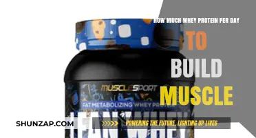 Optimal Whey Protein Intake for Muscle Building: A Comprehensive Guide