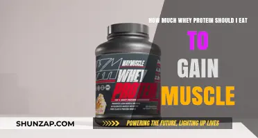 Optimal Whey Protein Intake for Effective Muscle Gain: A Guide