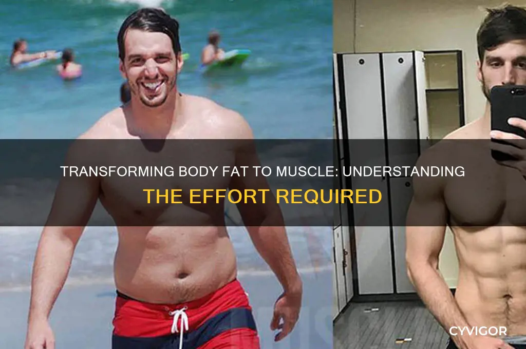 how much work to transform body fat to muscle