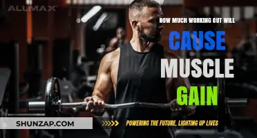 Working Out: How Much is Too Much?