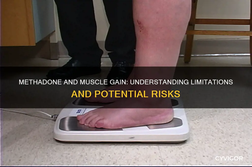 how muscle can i gain with methadionone