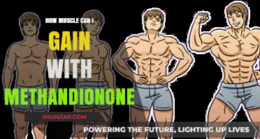 Methandienone's Impact: Maximizing Muscle Gain Safely and Effectively