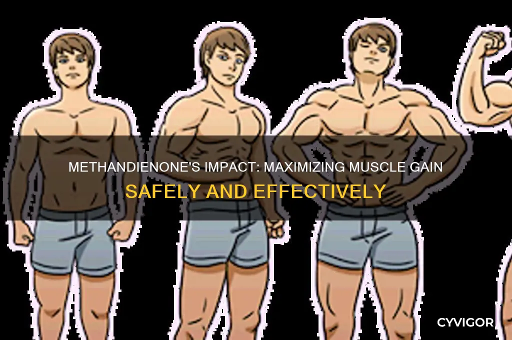 how muscle can i gain with methandionone