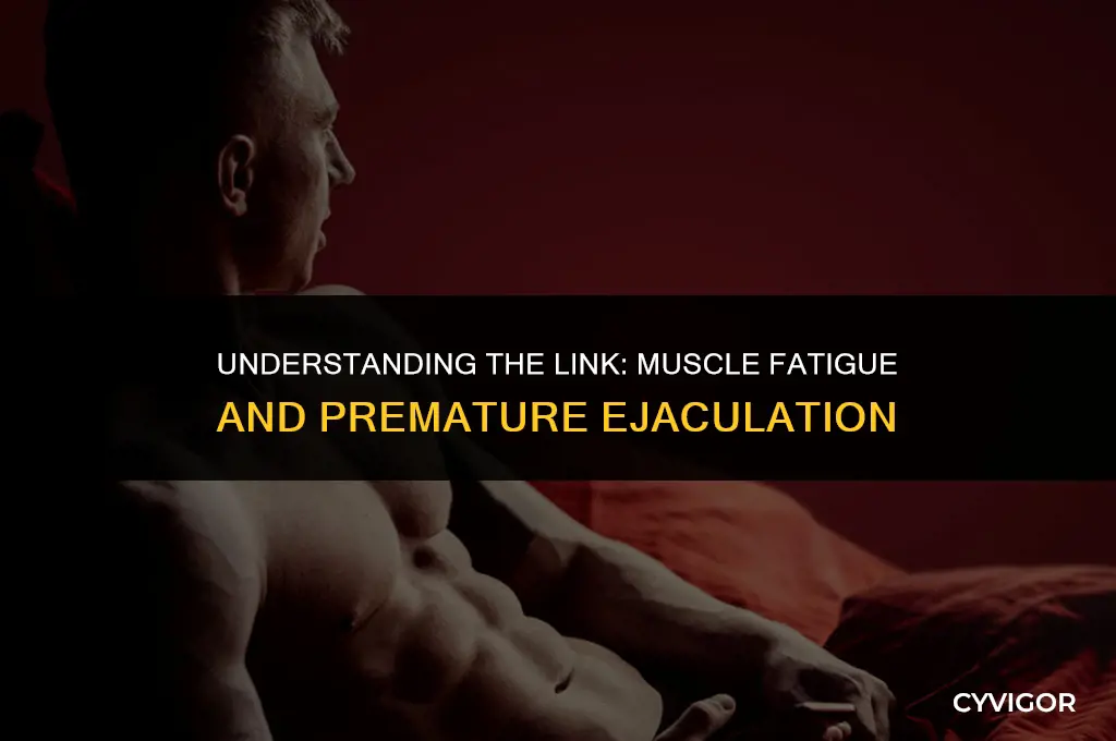 how muscle fatigue affects premature ejaculation