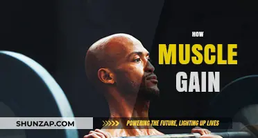 Effective Strategies for Building Muscle Mass and Strength Naturally