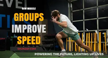 Muscle Groups: Unlocking Speed Enhancement Through Targeted Strength Training