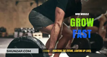 Accelerate Muscle Growth: Proven Strategies for Rapid Strength Gains