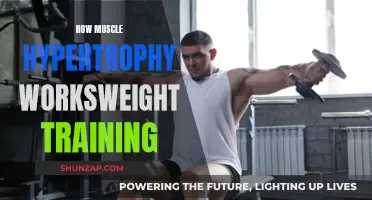 Muscle Hypertrophy Mechanics: Weight Training for Growth