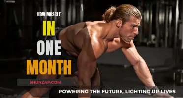 Building Muscle: One Month Transformation