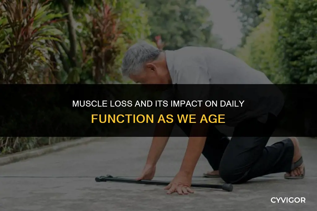 how muscle loss affects our daily life as we age