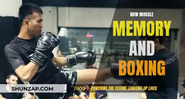 Muscle Memory: Boxing's Secret Weapon
