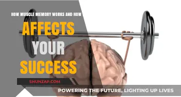 Muscle Memory Mastery: Unlocking Success Through Repetition and Training