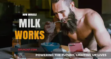 How Muscle Milk Fuels Recovery and Muscle Growth: A Breakdown