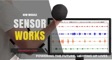 Understanding Muscle Sensors: Functionality, Applications, and Working Principles Explained