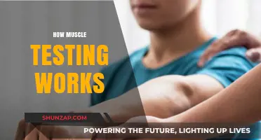 Understanding Muscle Testing: A Comprehensive Guide to Its Functionality