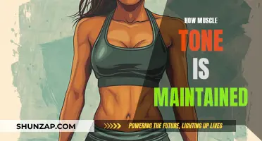Muscle Tone Maintenance: Understanding the Science of Strong Bodies