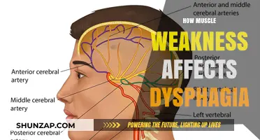 Understanding the Impact of Muscle Weakness on Dysphagia