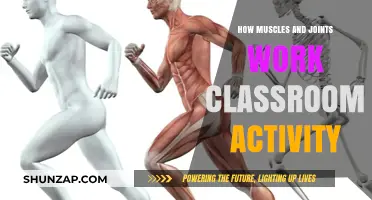 Exploring Muscles and Joints: Engaging Classroom Activity for Students