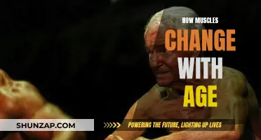 Muscle Aging: What Happens and How to Adapt