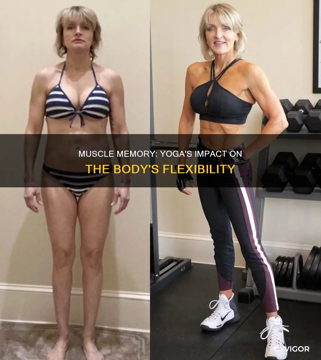 how muscles change yoga