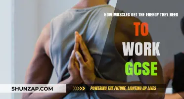 Muscle Energy Explained: GCSE Guide to Fueling Movement and Work
