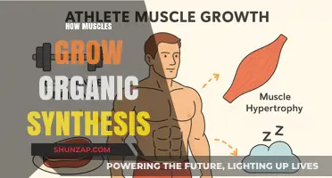 Organic Muscle Growth: Unlocking the Science of Natural Synthesis