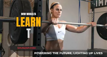 The Intriguing Science of Muscle Memory and Learning