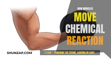 Muscle Movement: Unlocking the Chemical Reaction Mystery