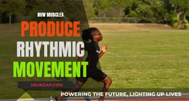 Muscles' Rhythmic Movement: Understanding the Science