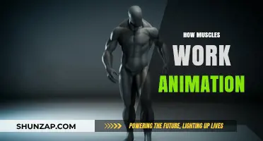 Understanding Muscle Mechanics: A Visual Guide to How Muscles Work