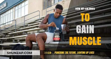 Fuel Your Muscle Growth: Mastering Calorie Intake for Optimal Gains