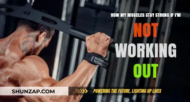 Maintaining Muscle Strength Without Workouts: My Surprising Secrets