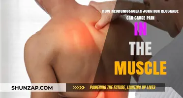 Neuromuscular Blockade: Understanding Muscle Pain