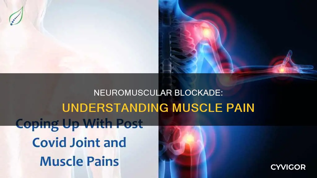 how neuromuscular junction blockade can cause pain in the muscle