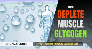 Depleting Muscle Glycogen: Strategies and Techniques for Effective Results