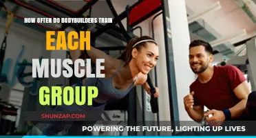 Optimal Muscle Group Training Frequency for Bodybuilders: A Comprehensive Guide