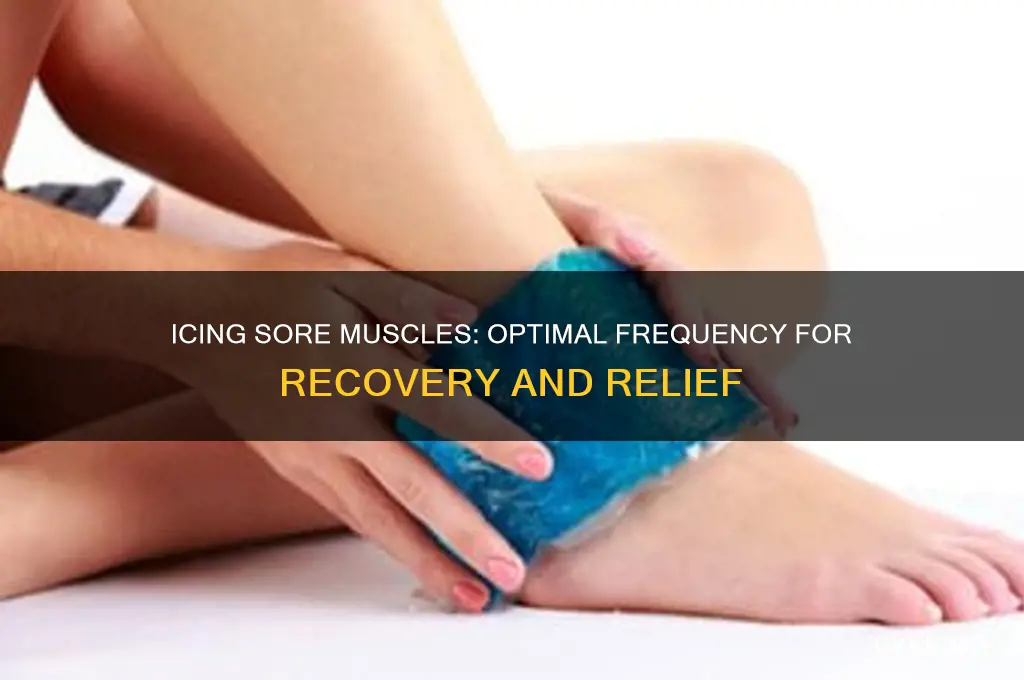 how often do you ice sore muscles