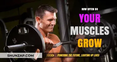 Muscle Growth Frequency: Understanding How Often Muscles Actually Develop