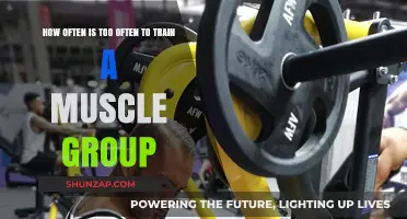 Optimal Muscle Training Frequency: Finding the Right Balance for Growth