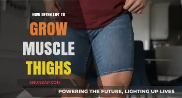 Optimal Thigh Muscle Growth: How Often Should You Lift?