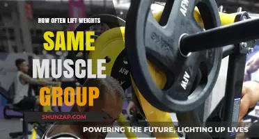 Optimal Frequency for Training the Same Muscle Group Effectively