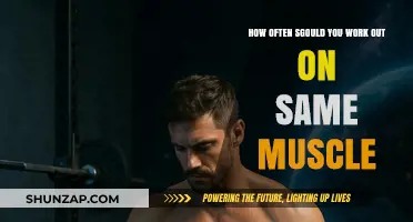 Optimal Muscle Recovery: How Often to Train the Same Muscle Group