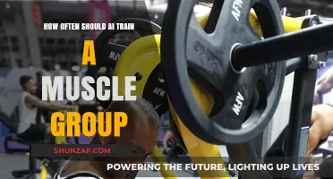 Optimal AI Muscle Training Frequency: How Often to Train Each Group