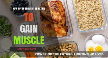 Optimal Meal Frequency for Muscle Gain: A Comprehensive Guide