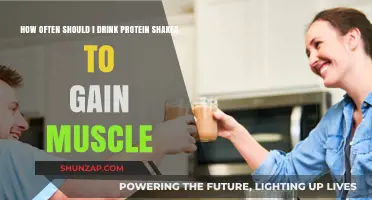 Optimal Protein Shake Frequency for Effective Muscle Gain Strategies