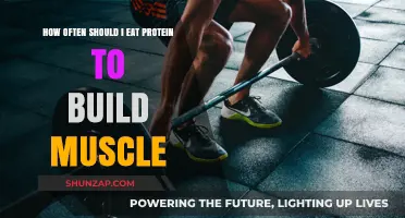 Fueling Muscle Growth: The Optimal Protein Intake Frequency