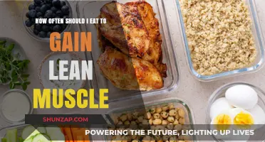 Optimal Meal Frequency for Building Lean Muscle: A Comprehensive Guide