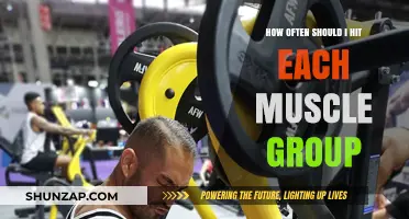 Optimal Muscle Group Frequency: How Often Should You Train Each?