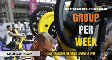 Optimal Muscle Group Lifting Frequency for Weekly Strength Training